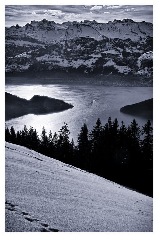 Kraeuterhotel Edelweiss Rigi Kaltbad Esterno foto