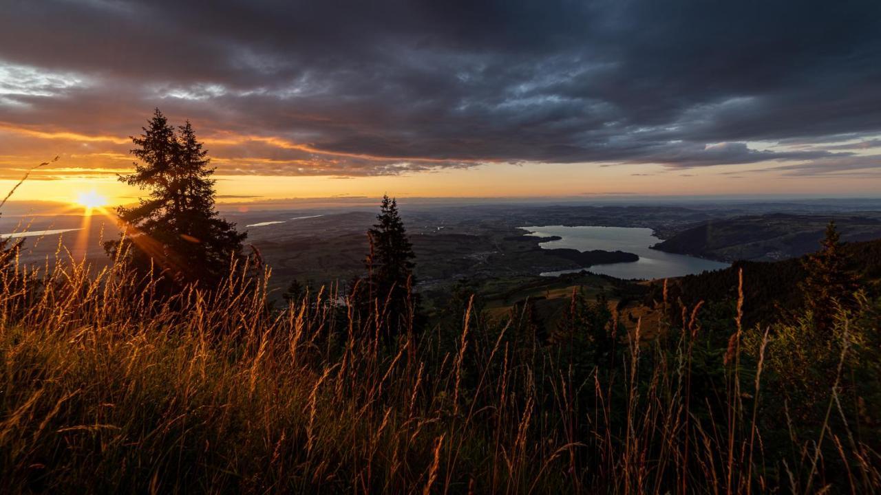 Kraeuterhotel Edelweiss Rigi Kaltbad Esterno foto