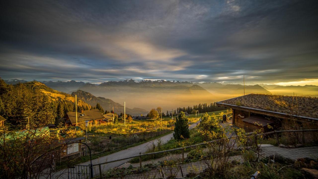 Kraeuterhotel Edelweiss Rigi Kaltbad Esterno foto