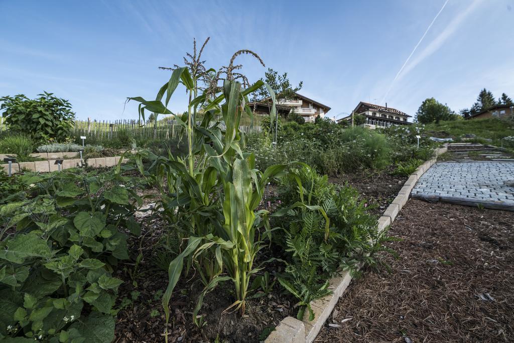 Kraeuterhotel Edelweiss Rigi Kaltbad Esterno foto