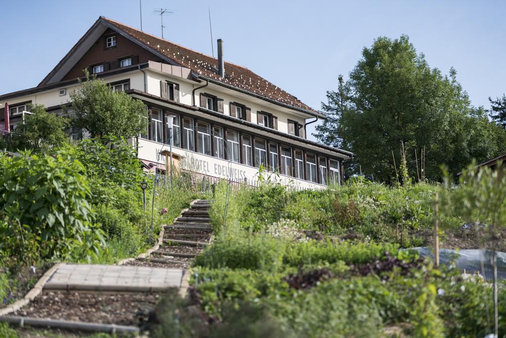 Kraeuterhotel Edelweiss Rigi Kaltbad Esterno foto